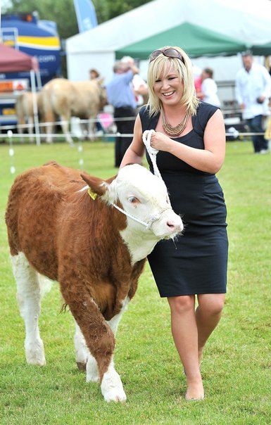 Official Brucellosis-free status in sight for Northern Ireland