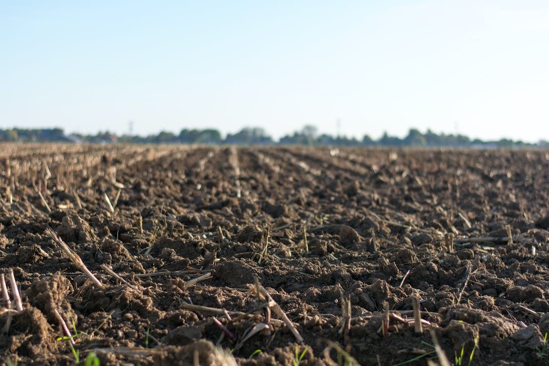 Zone 1 farmers in NI soil health scheme to receive full reports next week