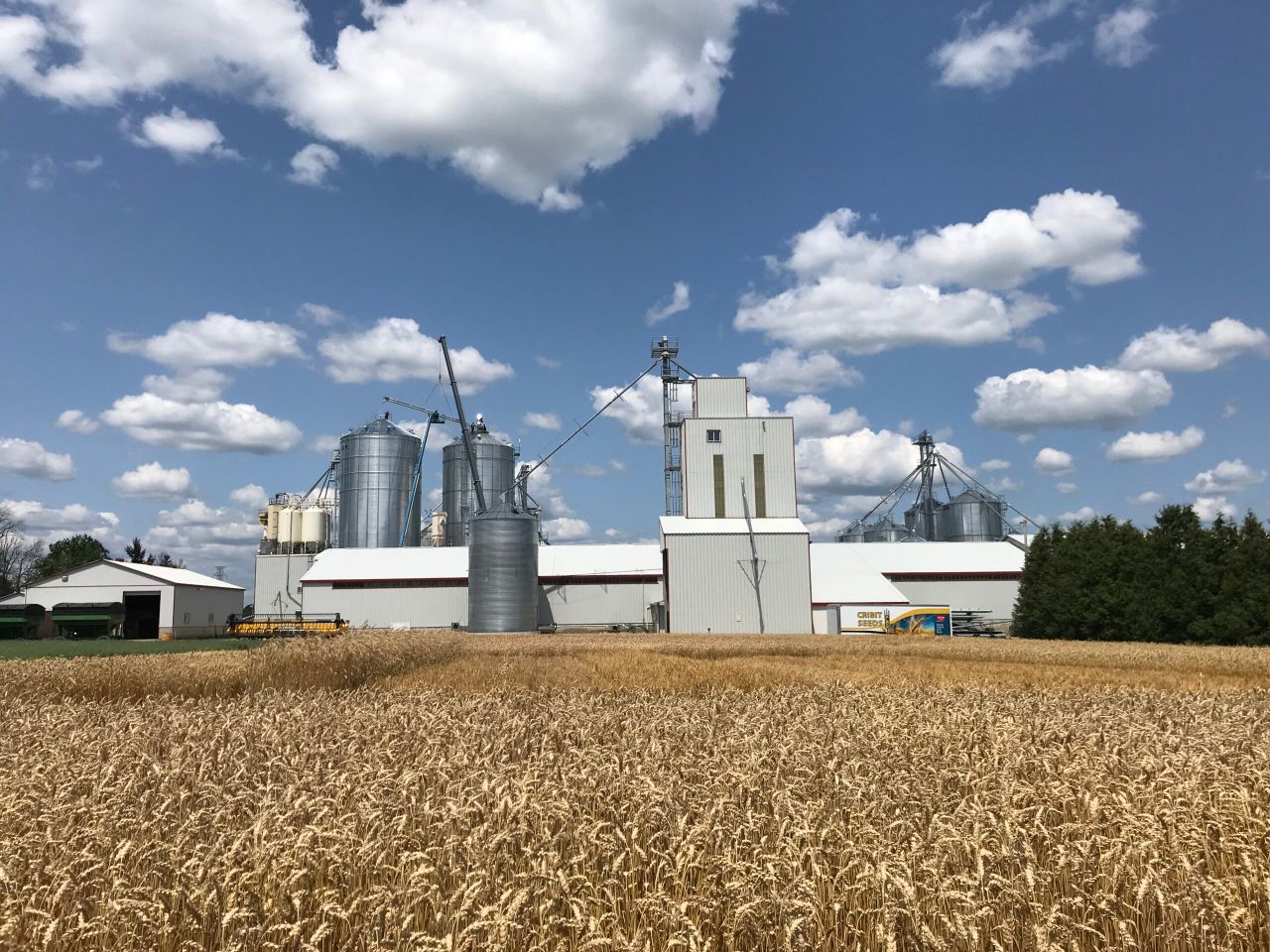 Straw in demand in Canada…price rises by 200%