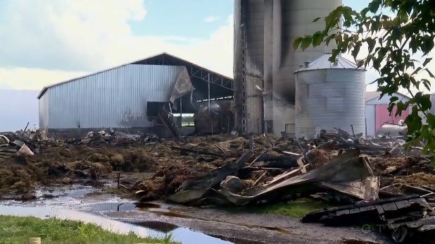 Video: Fire on family-run dairy farm kills 160 cows