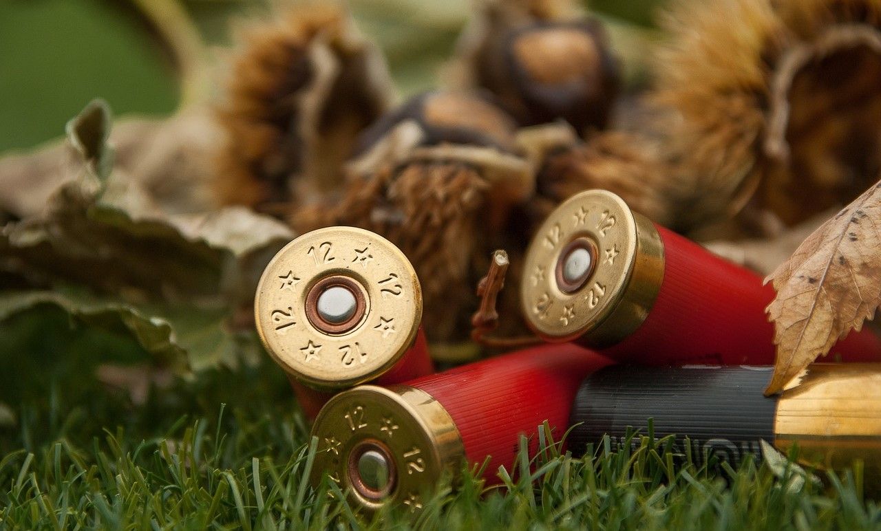 Countryside Alliance weighs in on firearm licencing medical review