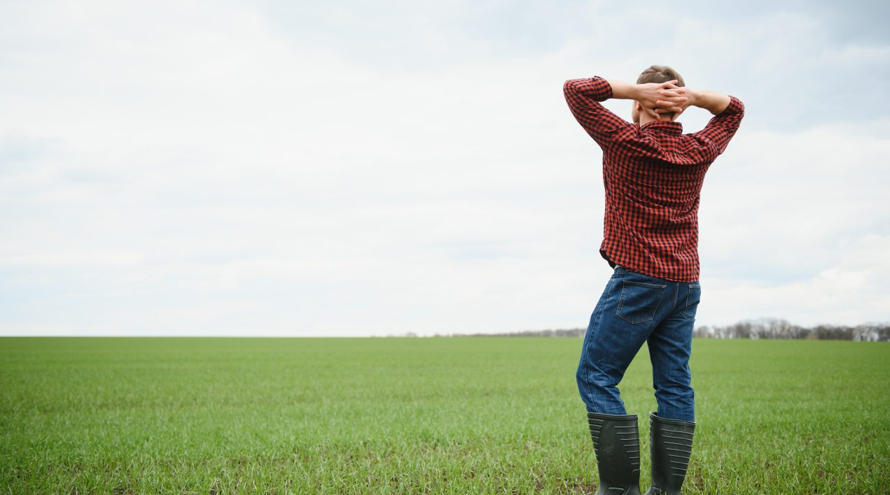 Poll: 80% of farmers 'worry for survival' due to UK inheritance tax changes