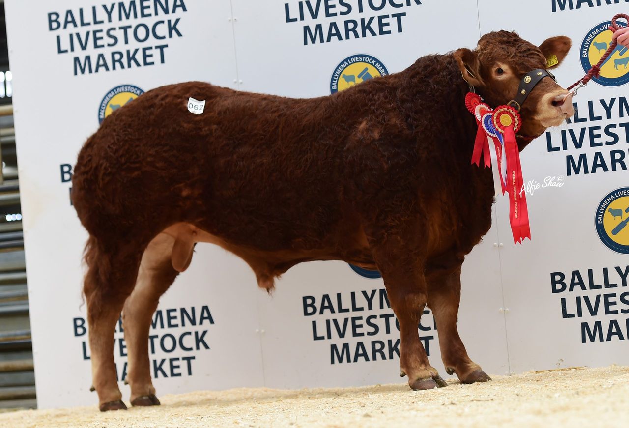 Judge manages a 'cracker' with Carmorn Nutcracker