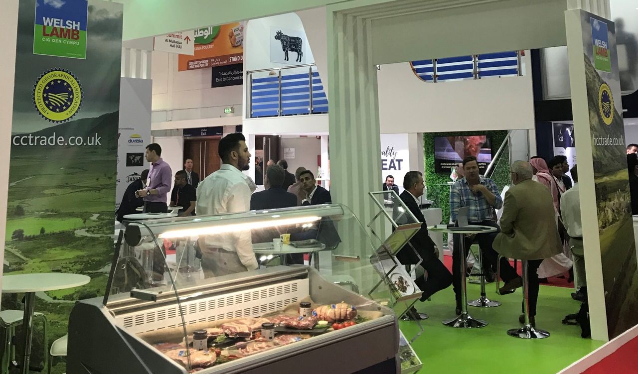 Germany and Middle East lead the way as lamb exports surge