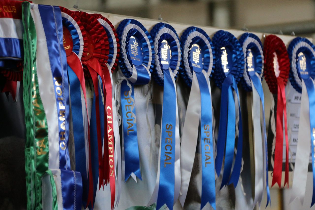 Days 2 and 3: Balmoral beef results