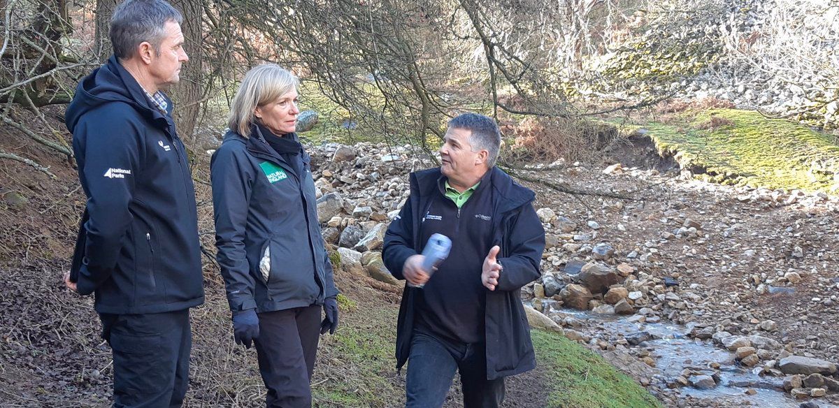 Marian Spain appointed new Natural England chief executive