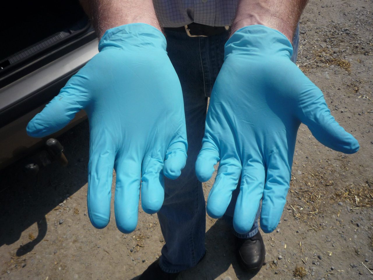 Gloves-looking after your cows and hands - AHI
