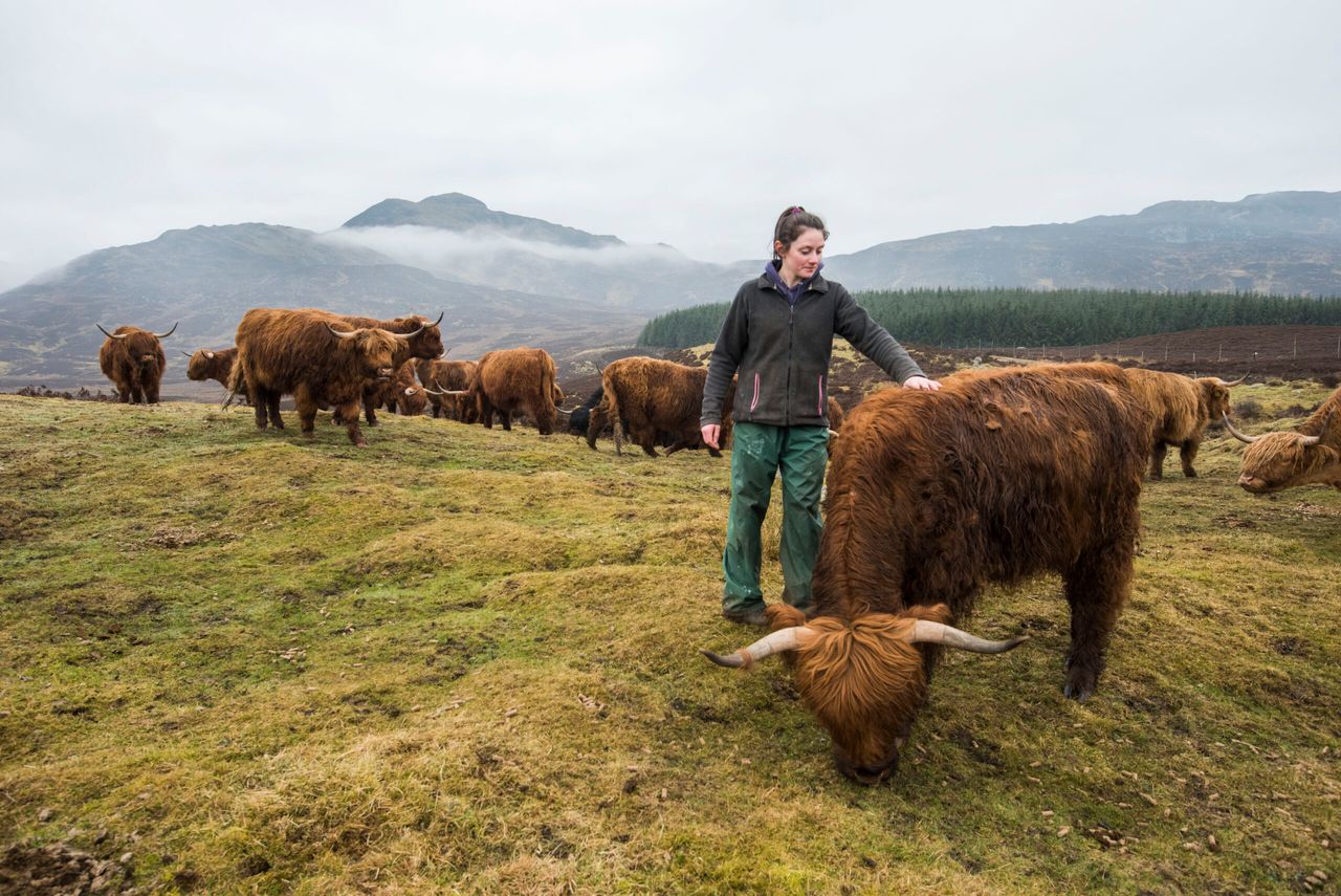 Scots industry urged to back 'Meat with Integrity' campaign