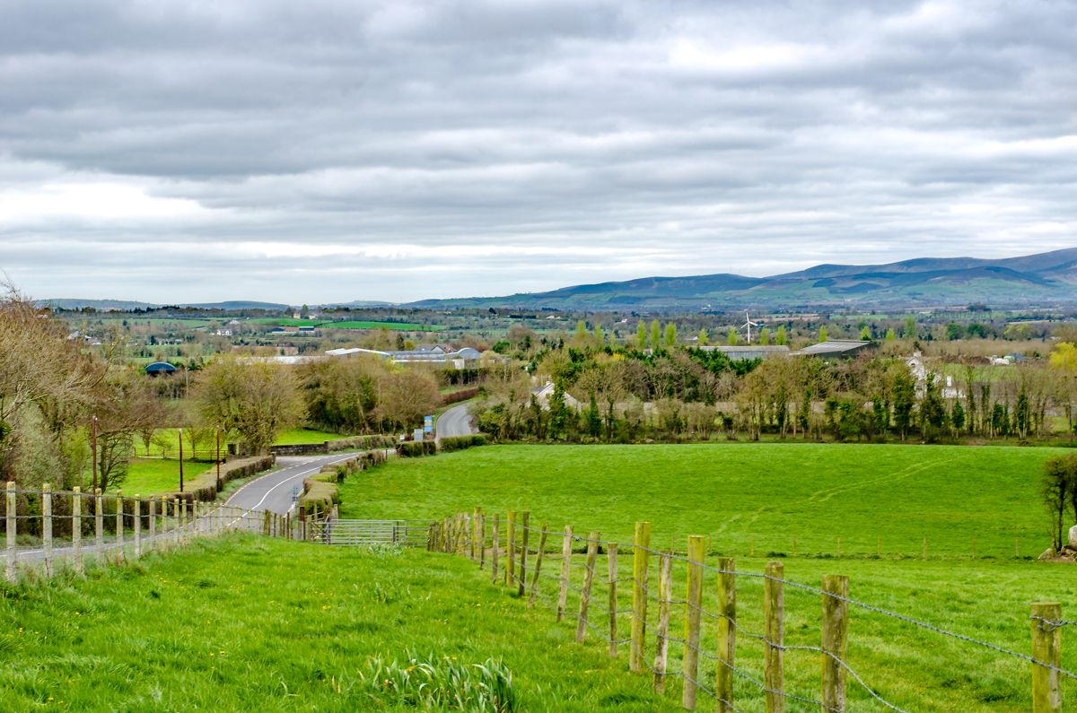 Future tree planting proposals must be 'realistic' - NFU Cymru
