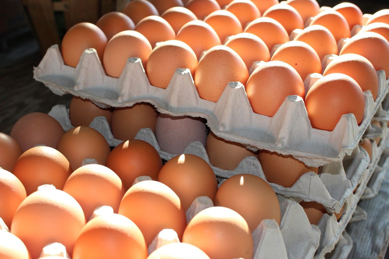 US restaurants add surcharge to food containing eggs