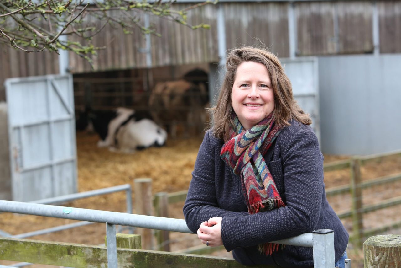 UK veterinary chain becomes first to offer clinical research collaboration