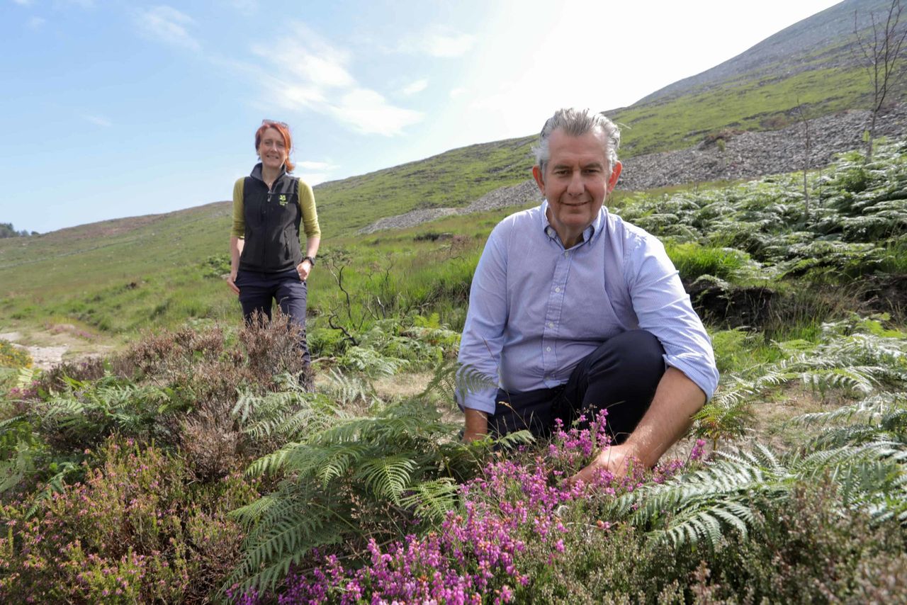 Poots commits £332,000 to aid Mournes Wildfire Recovery