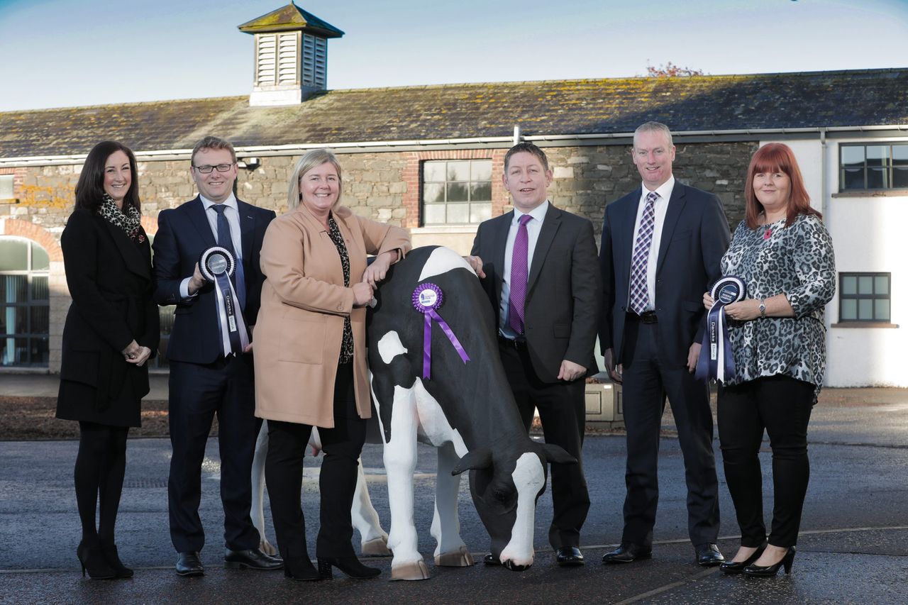 Countdown is on to this year’s Royal Ulster Winter Fair