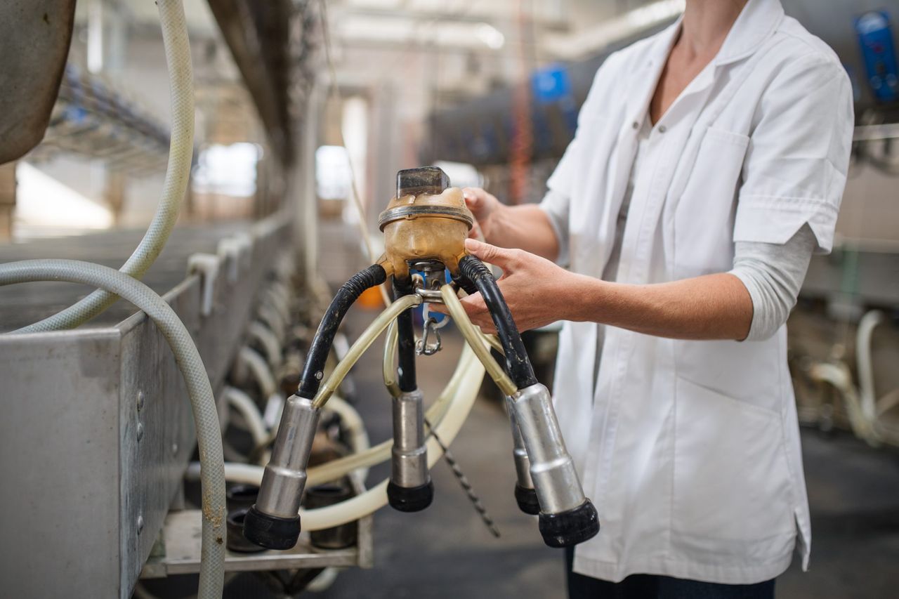 NI milk production sees ‘staggering growth’ – analyst