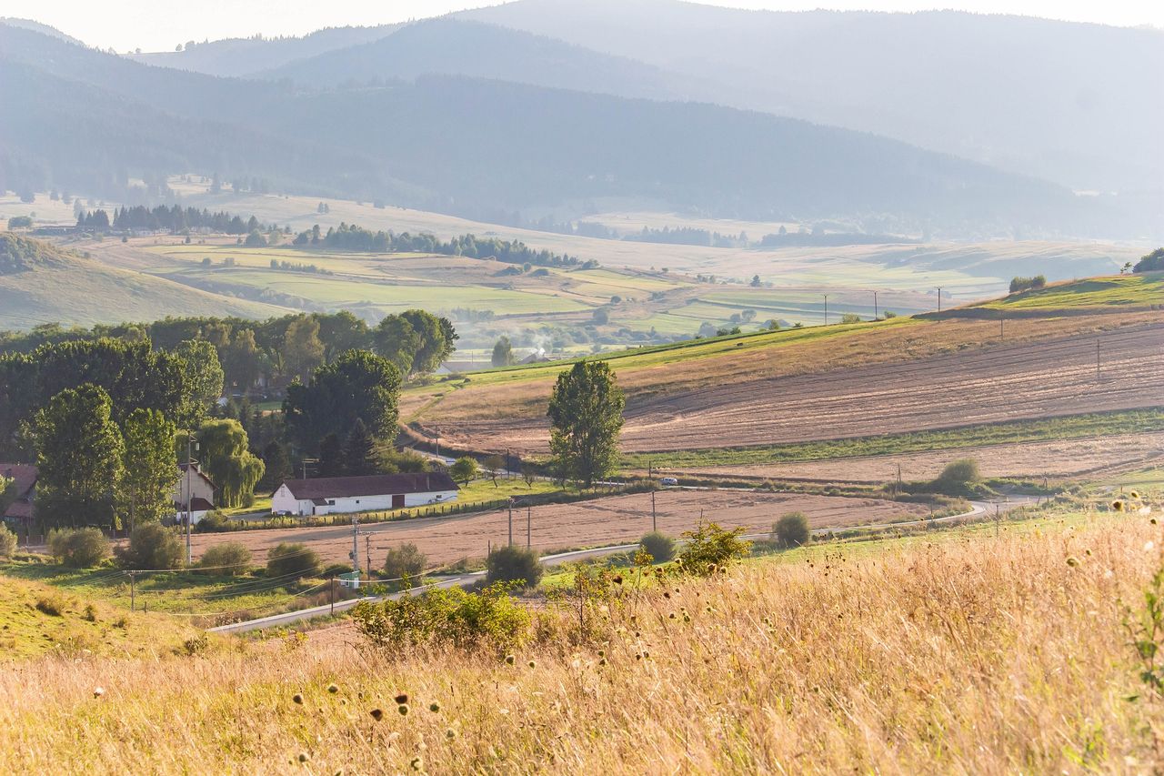 World Farmers’ Organisation to return to in-person General Assembly