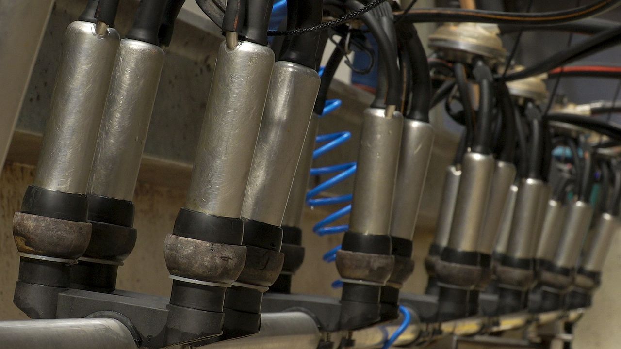 MEA launches new milking technician courses