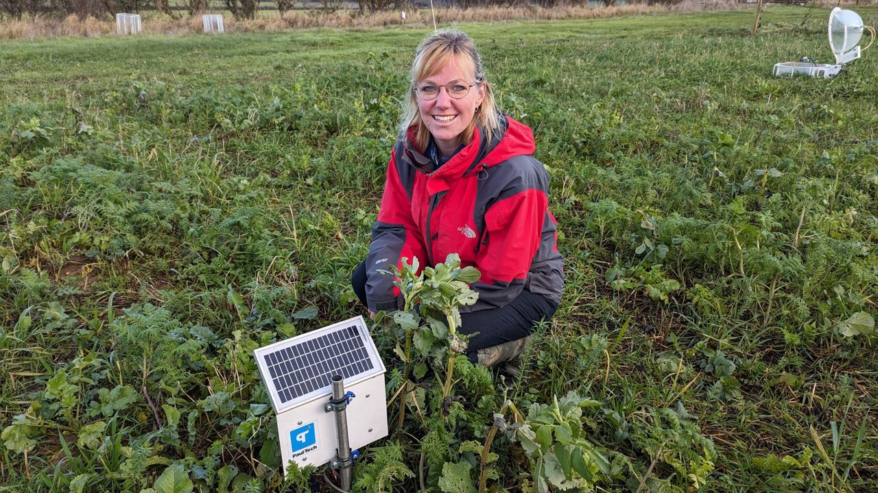 Regenerative agriculture study has 'fascinating' findings on benefits