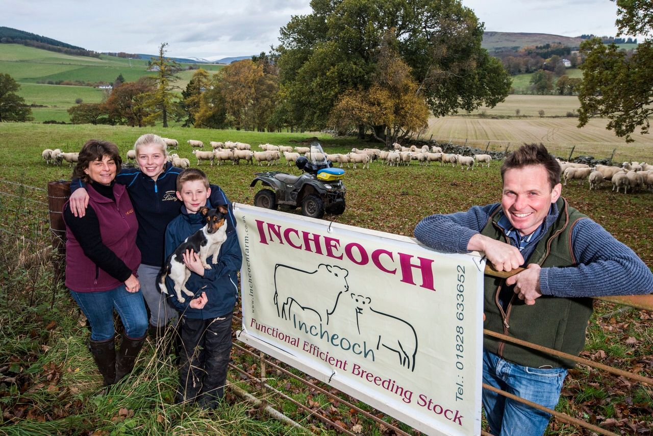 Perthshire farm announced as AgriScot Scottish Sheep Farm of the Year