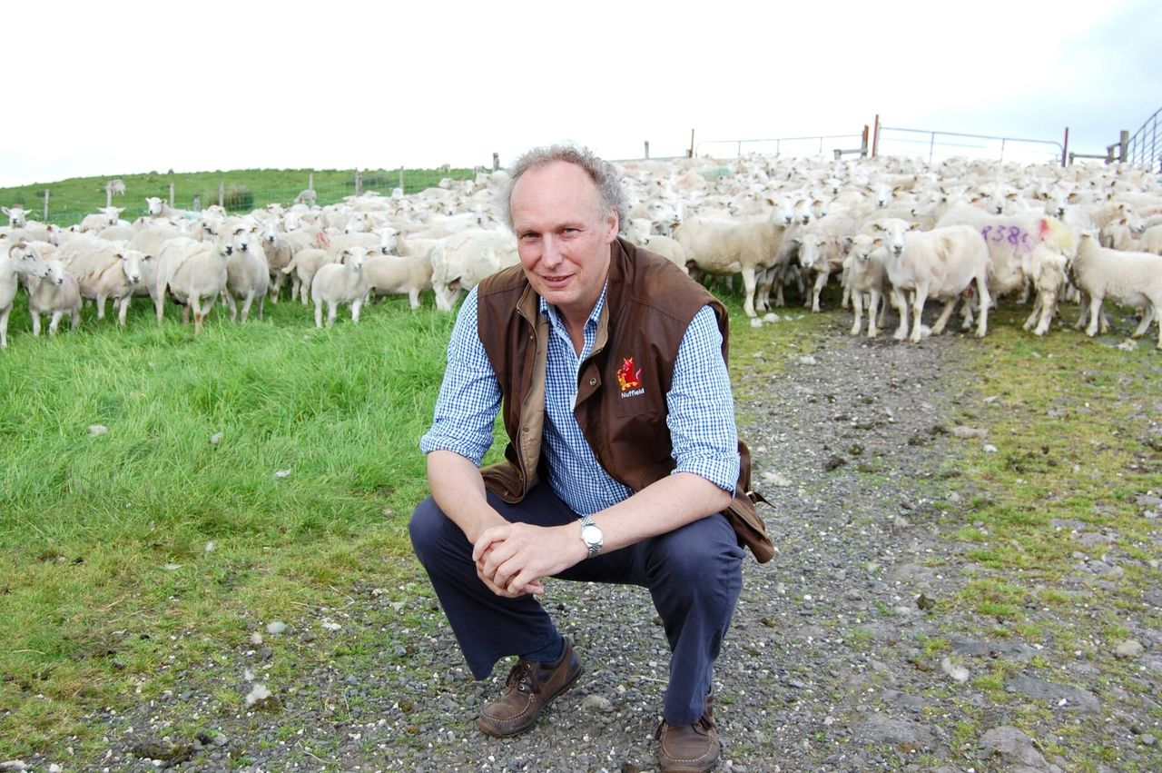 Farmer: Lamb prices to stay firm but support still needed