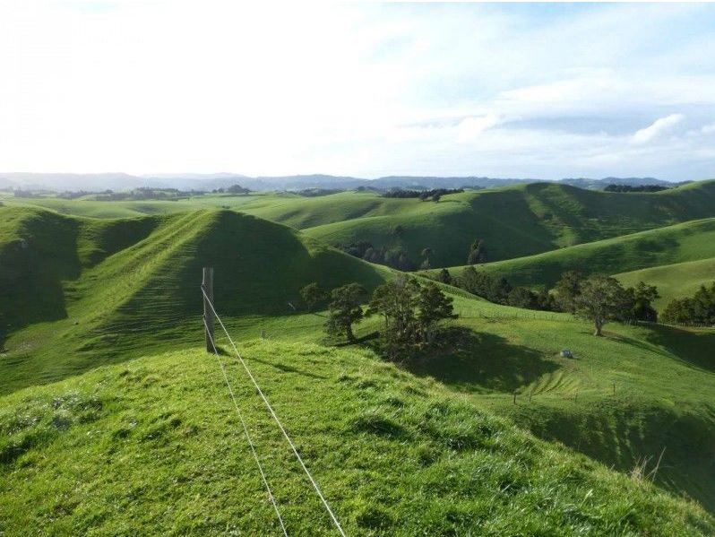 Pics: Would you be interested in this 500ha farm in New Zealand?