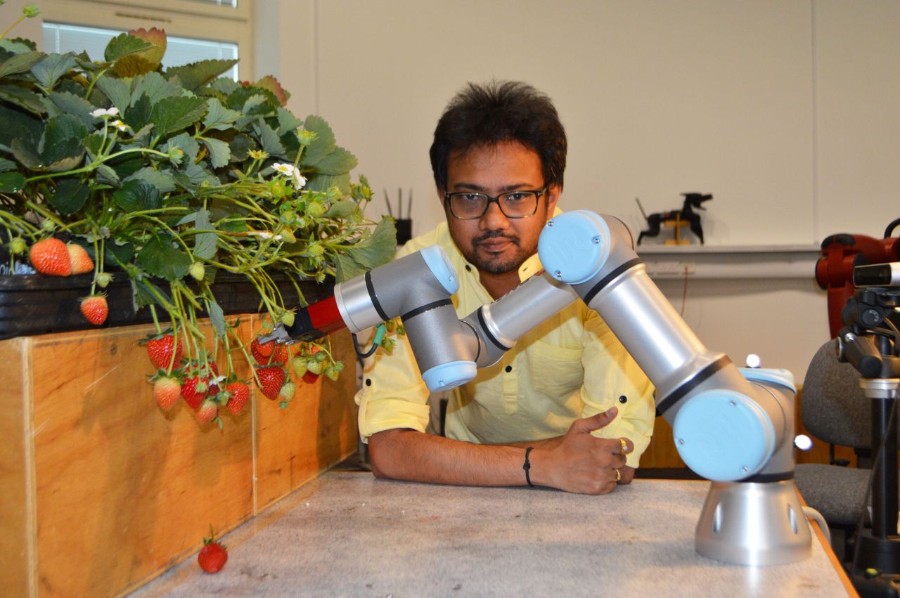 First fruit-picking robots could be ready in 5 months