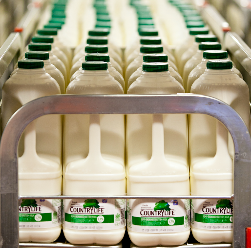 UK dairy industry unites to launch £1 million consumer campaign