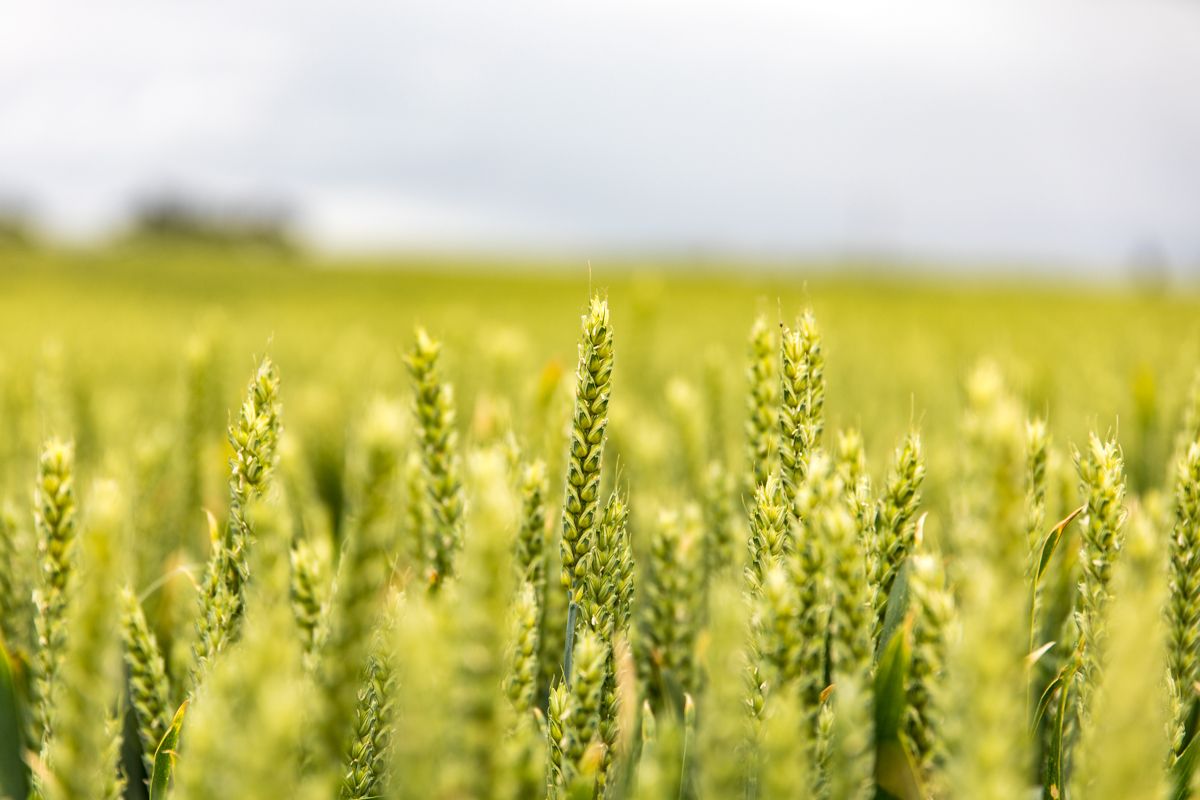 Study: Farmers urge banks to prioritise climate and nature