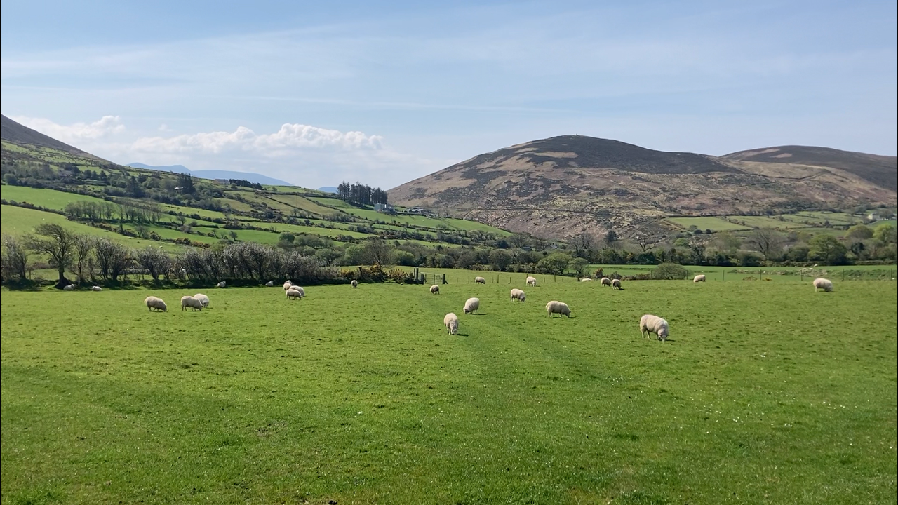 NFU Mutual 2023 Centenary Award for post-grad agri-students now open