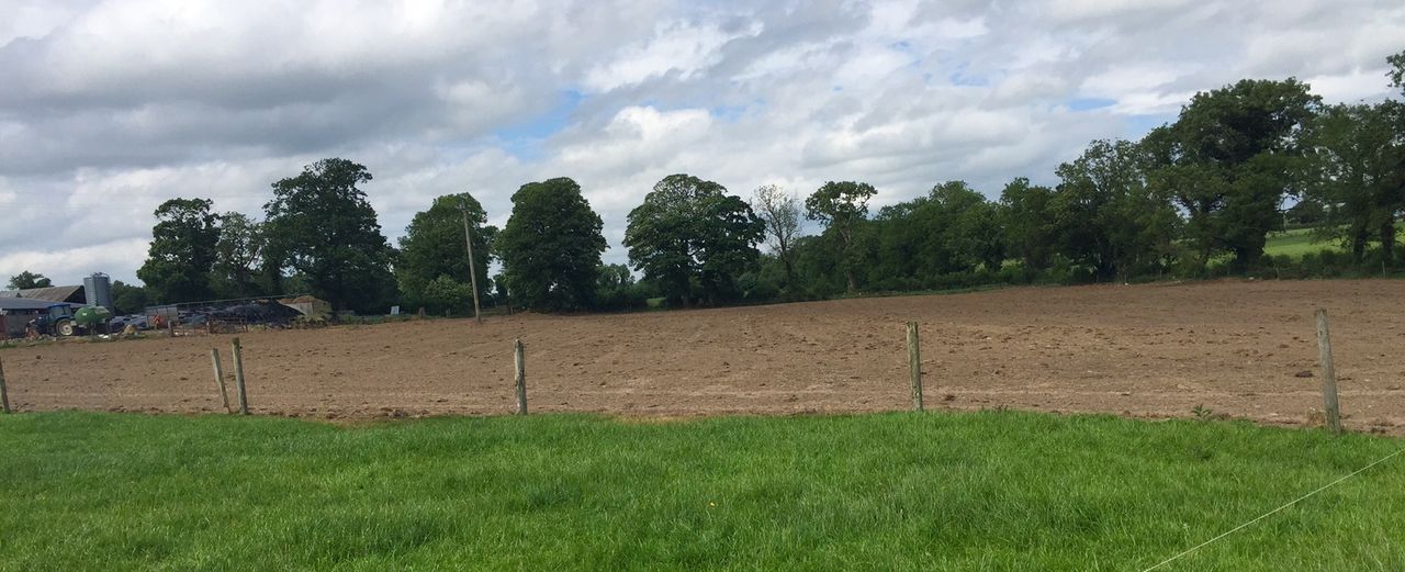 Thinking of reseeding? - Here's how to choose grass varieties