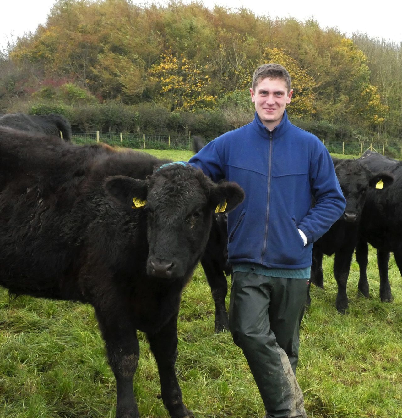 Proactive management is key focus for Downpatrick farm walk