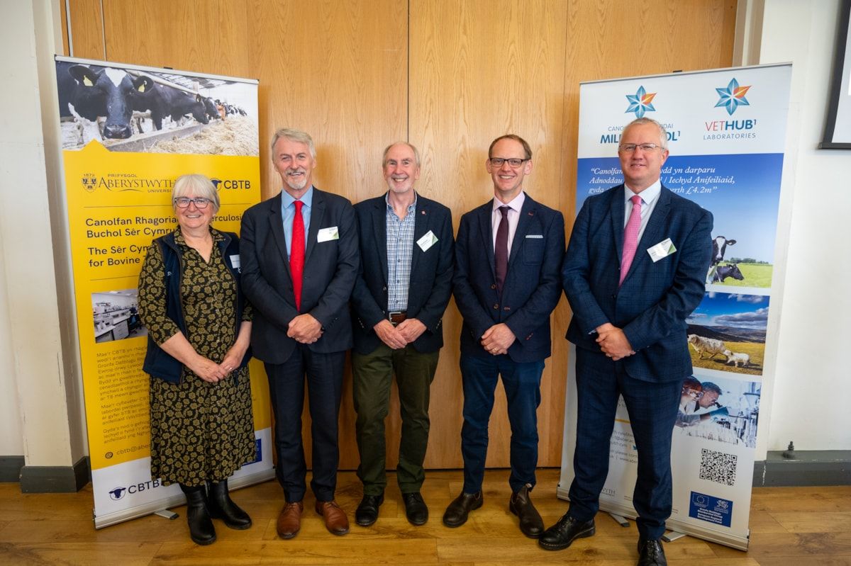 Bovine TB programme board members announced