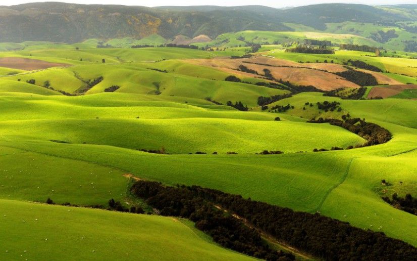 New Zealand's 'largest farmer' to sell off 10 farms totalling 11,650ha