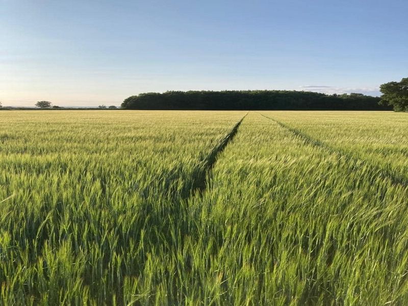 Tenant farm saved as Old Malton solar proposal rejected