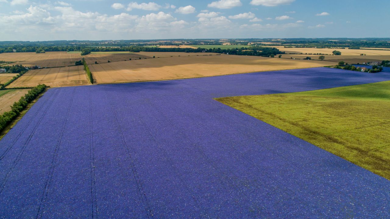 306ac of Grade 1 land on the market in Kent