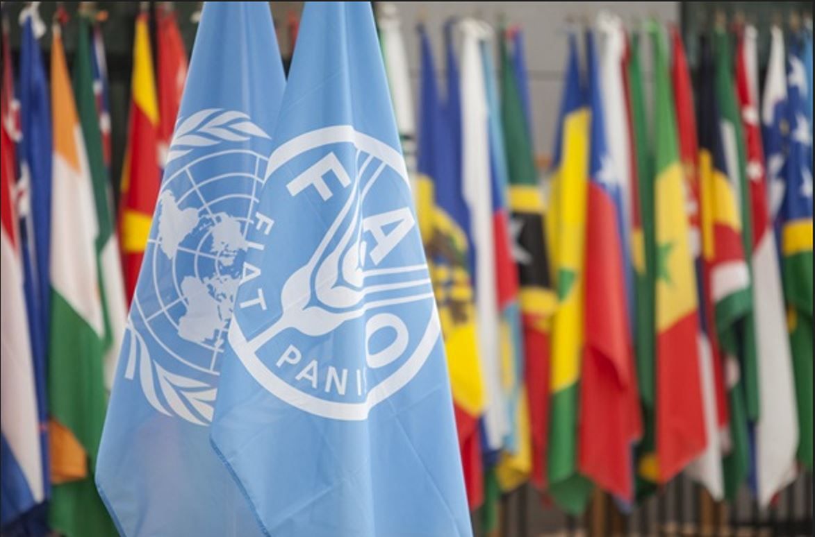 FAO: Loss of crops and livestock in last 30 years worth $3.8 trillion