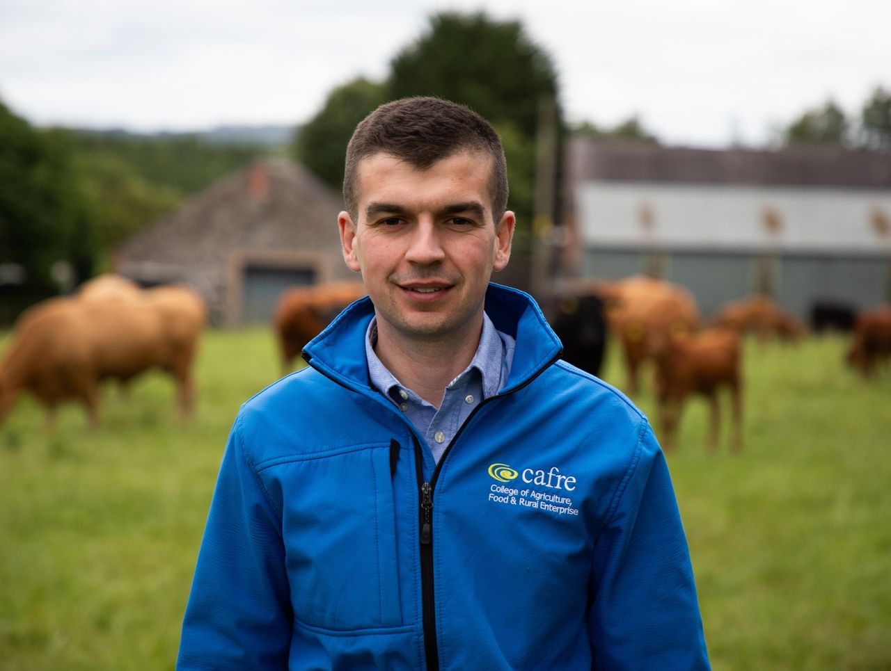 Advice: Suckler herd fertility – getting cows back in calf