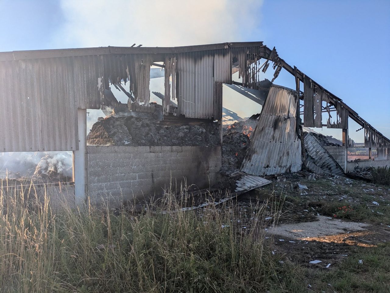 Dorset barn fire 'believed to be arson'