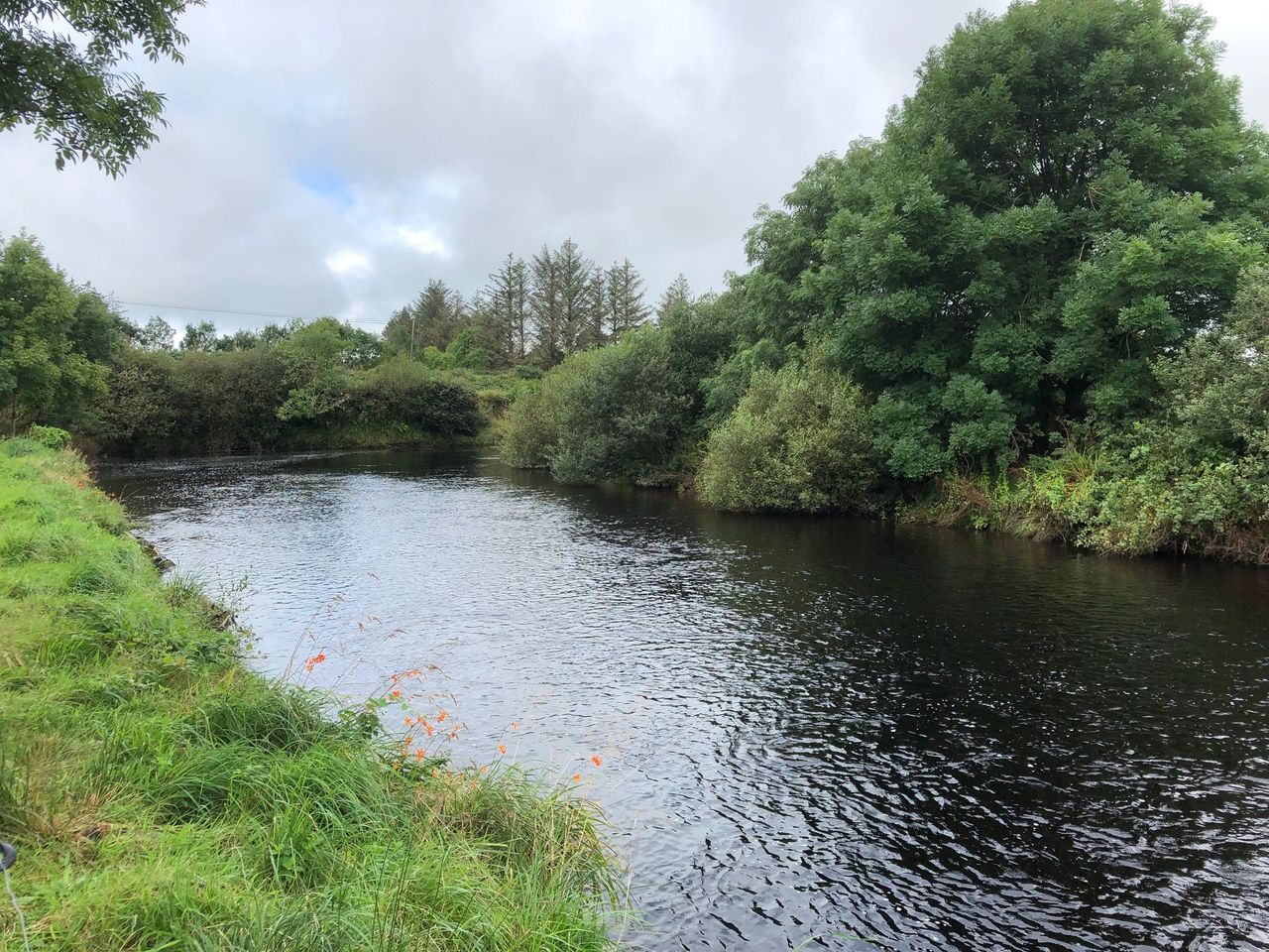 Consultation on draft river basin and flood risk management plans opens