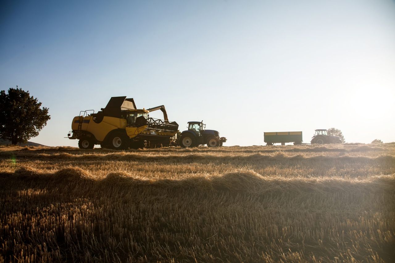 Harvest 2025 on the Ards Peninsula delivers high yields