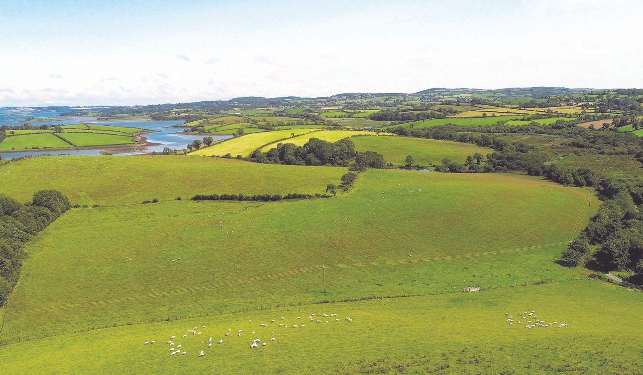 Successful first year for the Scottish Land Matching Service