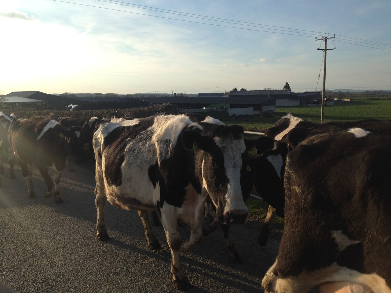 ‘We are not in the business of supporting inefficient dairy farms’