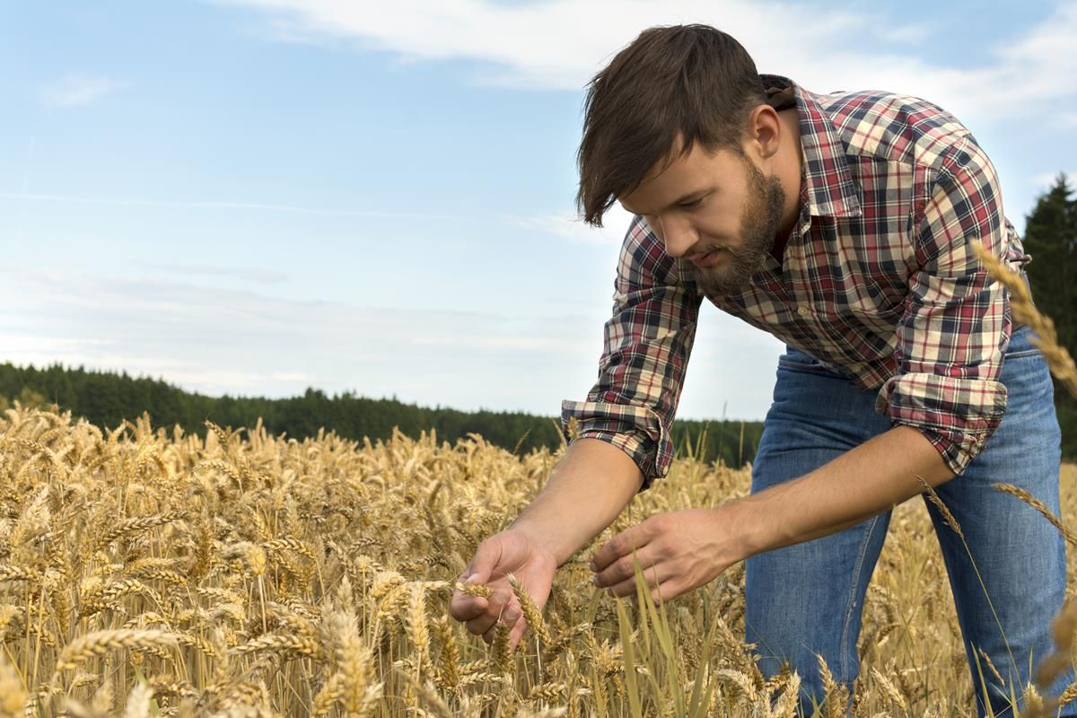 Report on farm-level environmental data sharing published