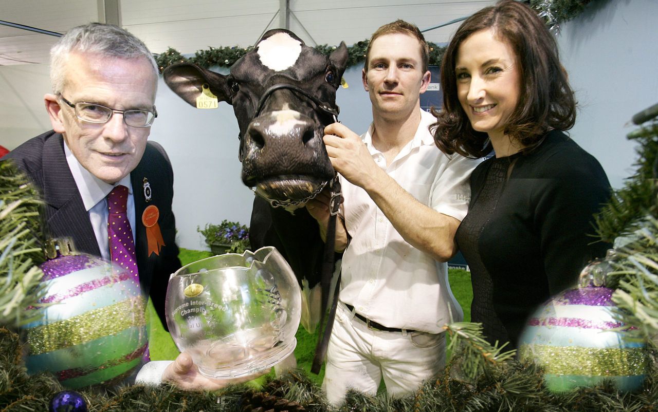 Clean sweep for southern dairy breeders at Winter Fair