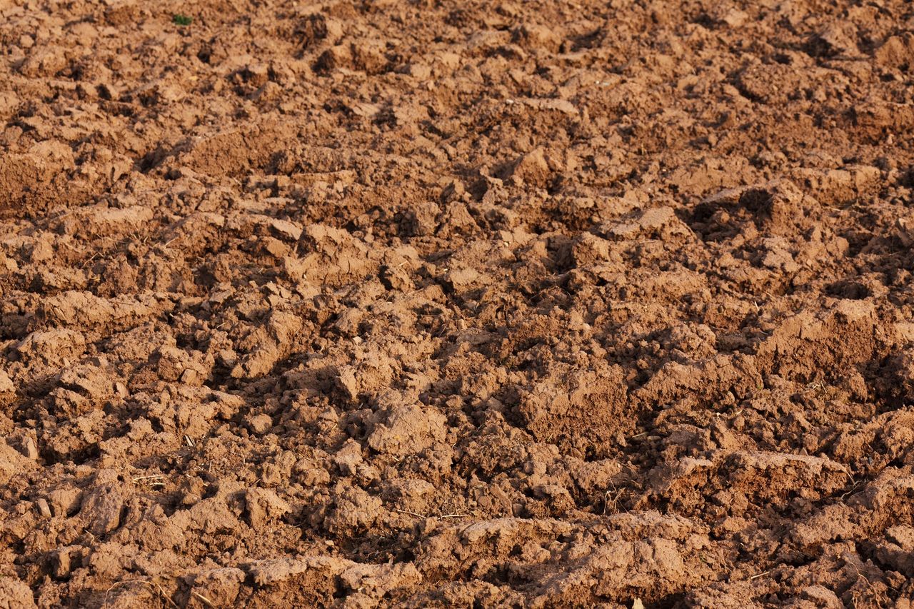 Report: 3,500 ‘falsified’ soil samples submitted in NI with ag planning applications