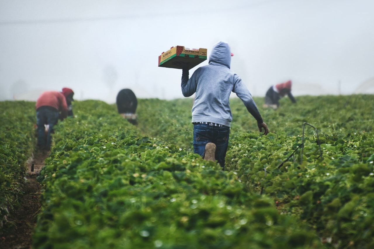 What you need to know about the NI pay increase for agri workers