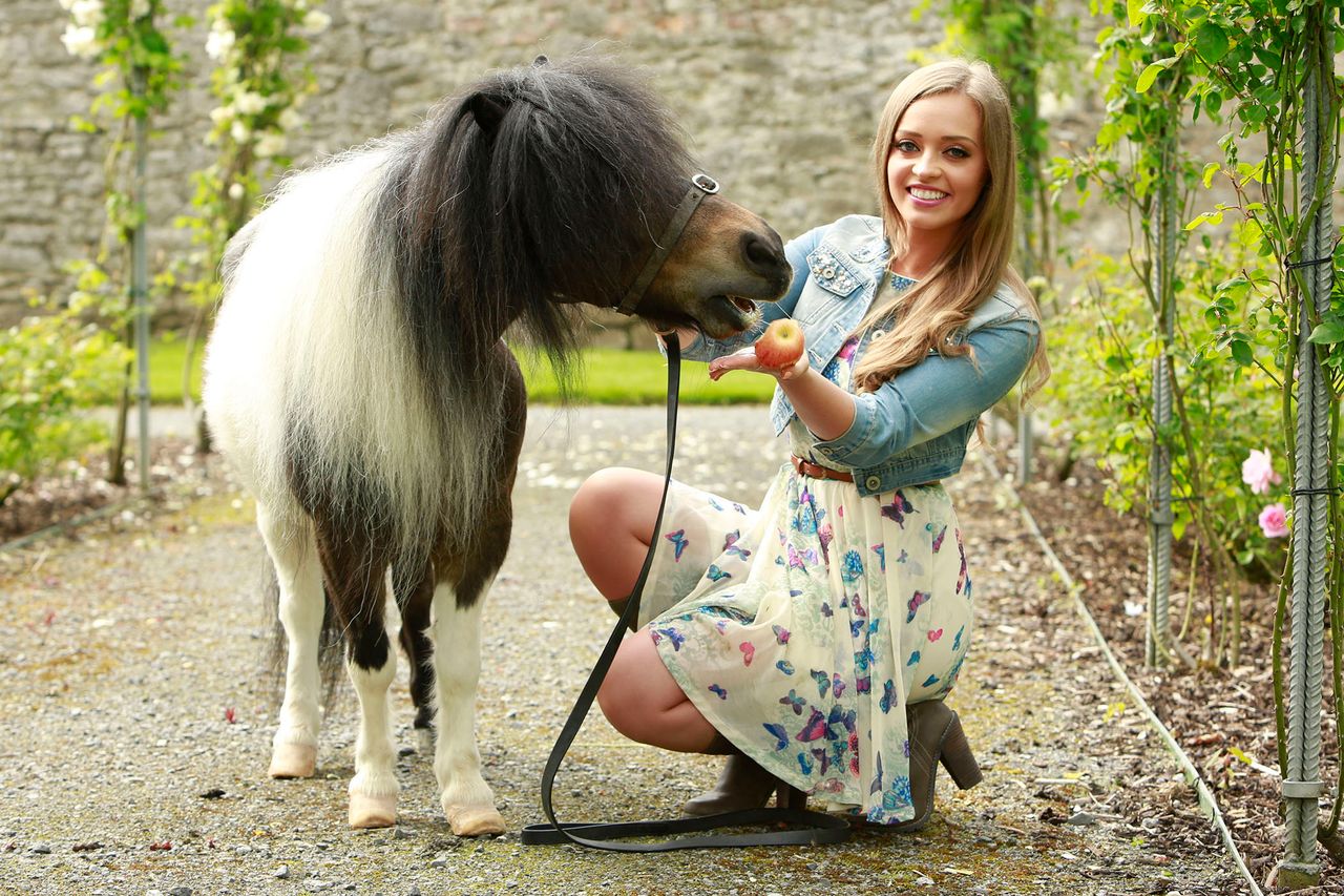 Flavours of Fingal this weekend