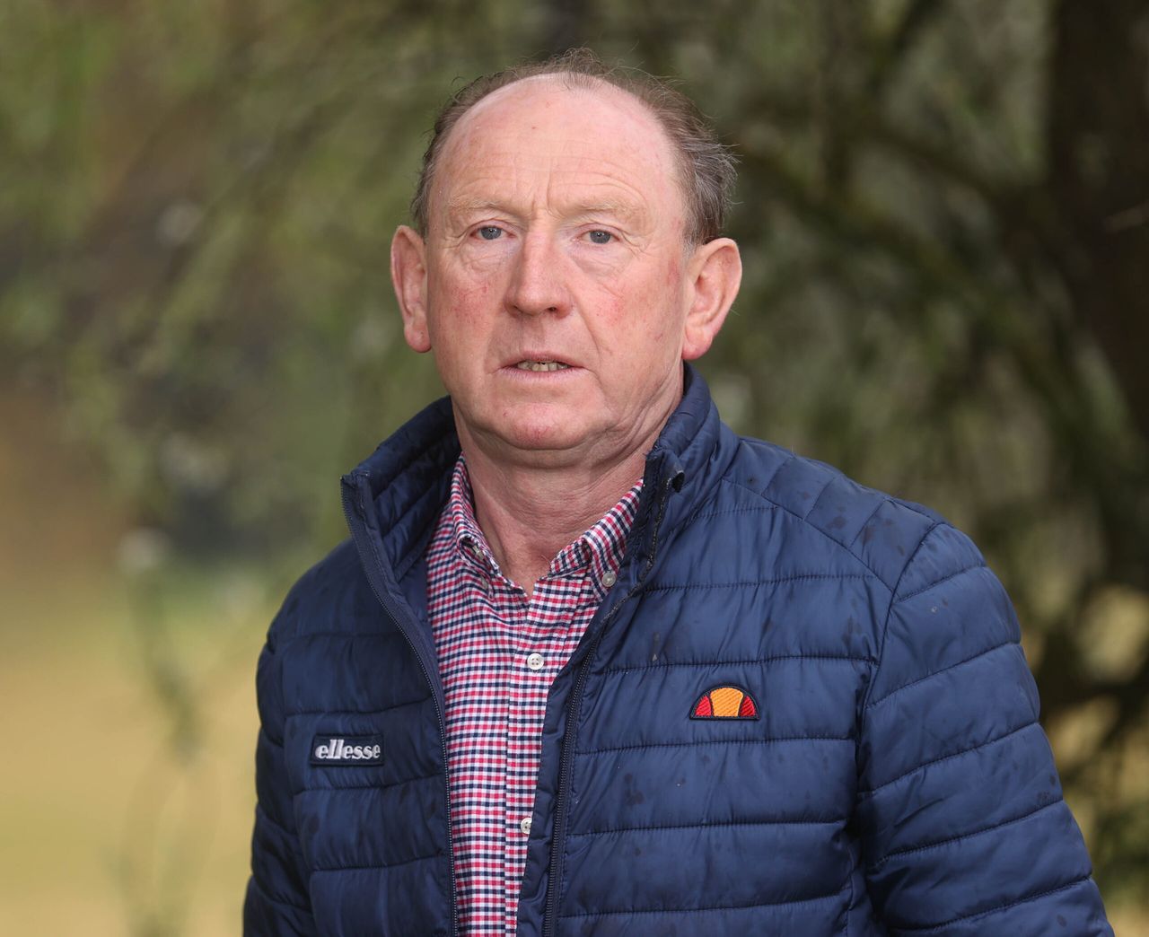 Lamb price falling short of production costs, says UFU