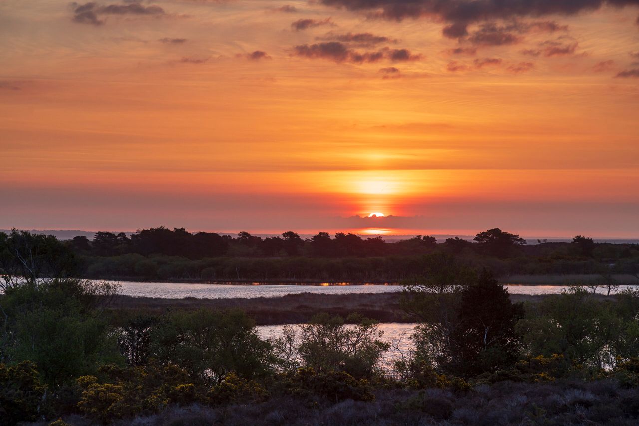 Livestock added to UK’s first-ever ‘super’ National Nature Reserve
