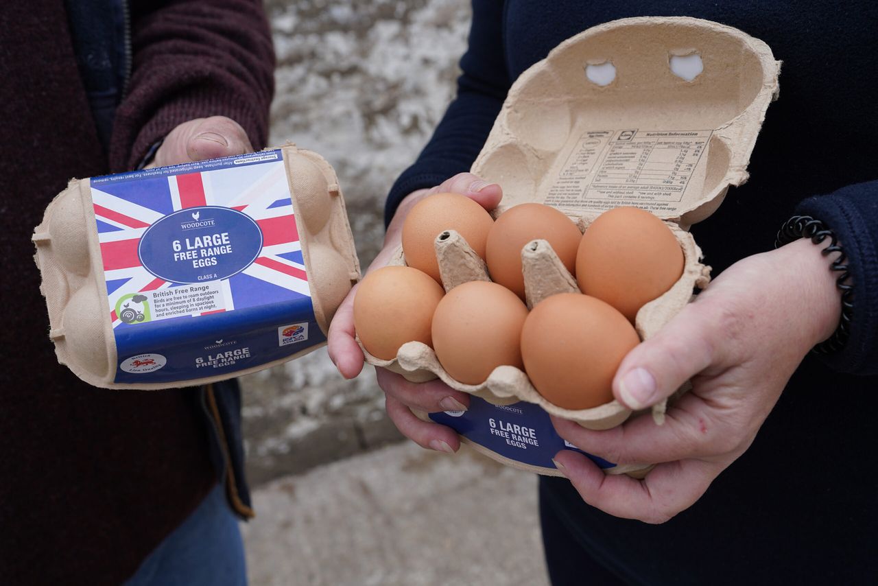Lidl GB offering financial incentives to farm eggs