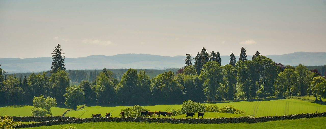 Farm unions urge Chancellor to act now to change no-deal tariffs